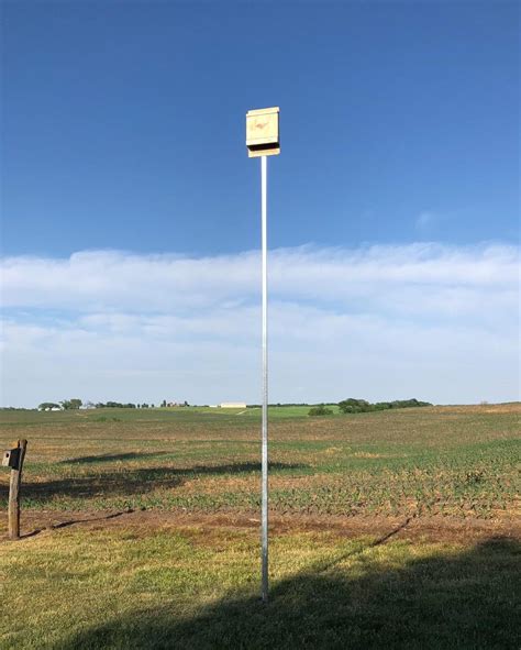 poles for mounting bat houses